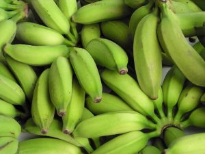 The Importance of Eating Bananas for Athletes