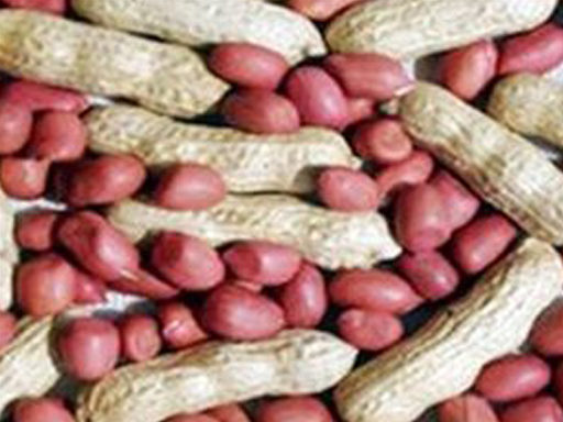 Fresh Ground Nuts (Peanuts)