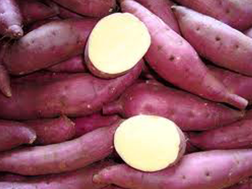 Sweet Potato (White/Red skinned)