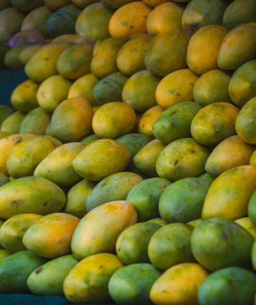 Fresh mangoes at the stall. Neatly arranged.