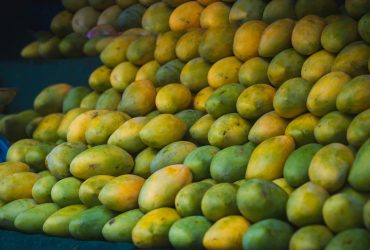 Fresh mangoes at the stall. Neatly arranged.